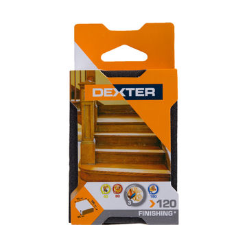 Sponge block sm G120 DEXTER 100x70mm