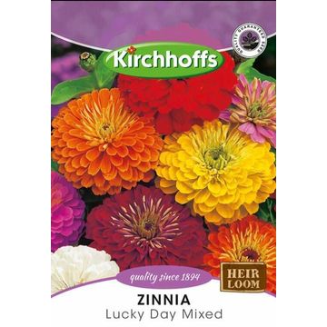 Kirchhoffs bumperzinnia california mix