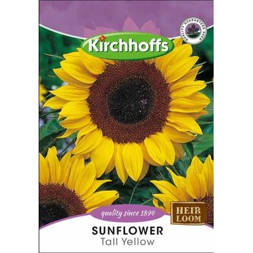 Kirchhoffs bumpersunflower tall bumper