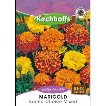 Kirchhoffs bumpermarigold bonita mix