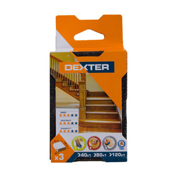 Sponge block sm G40G80G120 DEXTER 100x70mm