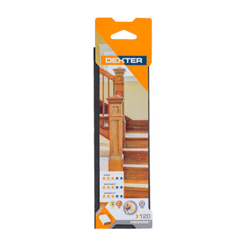 Sponge block lrg G120 DEXTER 225x70mm
