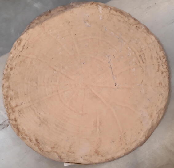 Stepping Stone Log Cross Cut 38 cm X 4 cm Brown