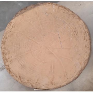 Stepping Stone Log Cross Cut 38 cm X 4 cm Brown