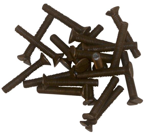 Machine screw M05 x50 10 pack