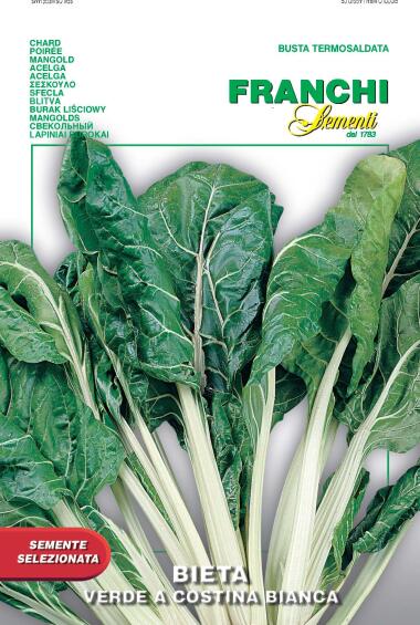 Seed, Swiss Chard/Agila, FRANCHI SEMENTI