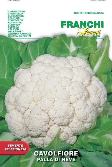 Seed, Cauliflower/Palla Di Neve, FRNACHI SEMENTI