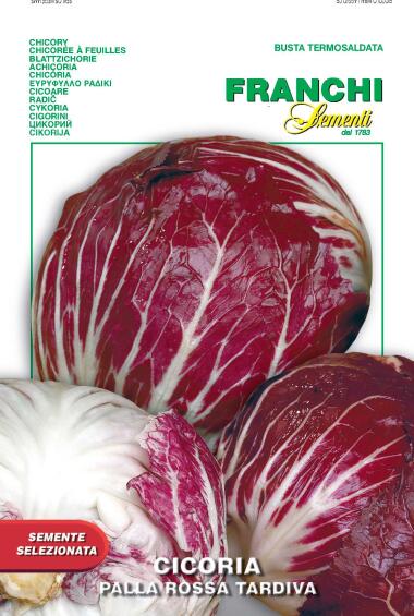 Seed, Radicchio/Tardiva, FRANCHI SEMENTI