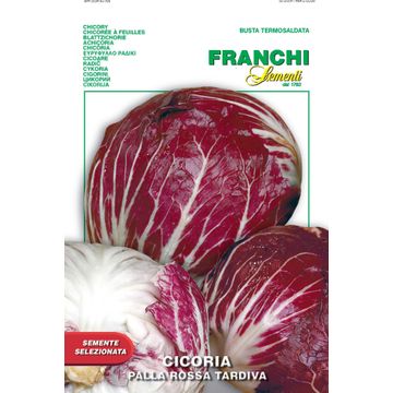 Seed, Radicchio/Tardiva, FRANCHI SEMENTI