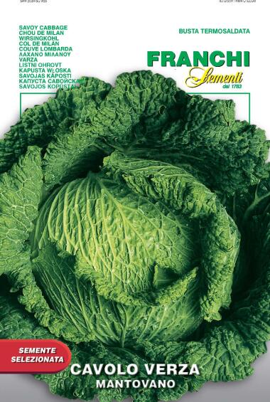 Seed, Cabbage/ Sayoy Montovano, FRANCHI SEMENTI