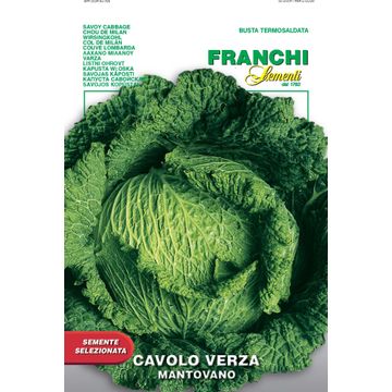 Seed, Cabbage/ Sayoy Montovano, FRANCHI SEMENTI