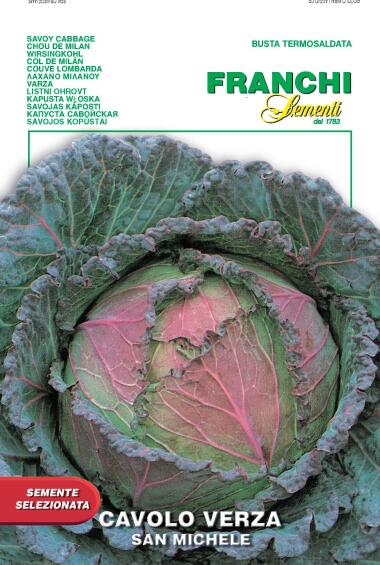 Seed, Cabbage /Savoy San Michele, FRANCHI SEMENTI