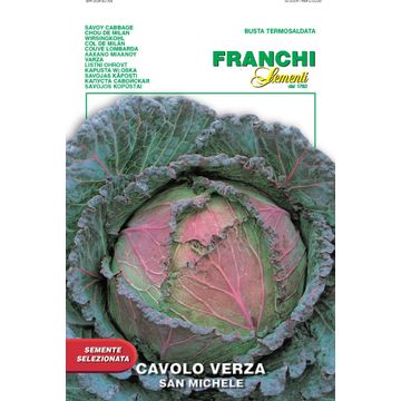 Seed, Cabbage /Savoy San Michele, FRANCHI SEMENTI