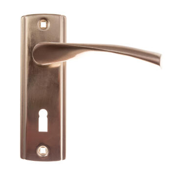 Door handle sirius key entry MV005 L&B security