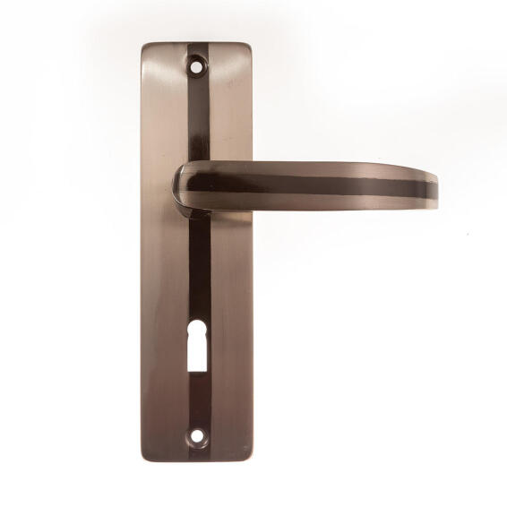 Door handle sirius key entry MV004 L&B security