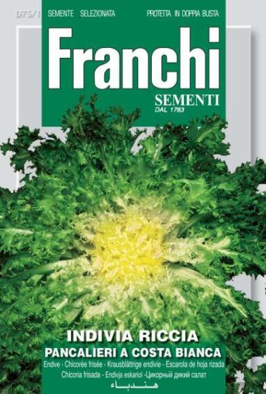 Seed, Endive /Cuor D Oro, FRANCHI SEMENTI