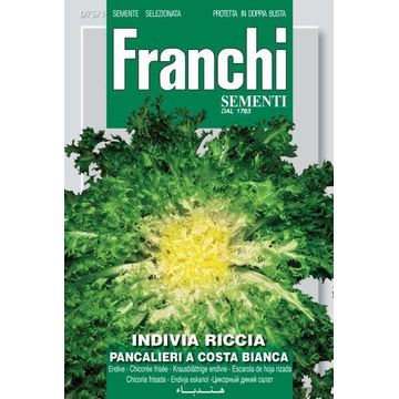 Seed, Endive /Cuor D Oro, FRANCHI SEMENTI