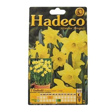 DAFF/NARC FLOWER CARPET LARGE