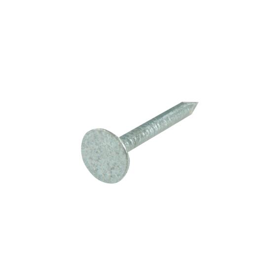 Large head nails 3.4x60mm KG standers