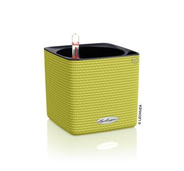 POT CUBE COLOR 14 LIME GREEN