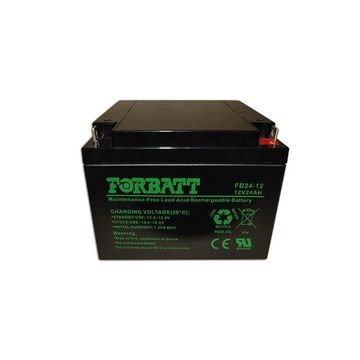 Forbatt 12V 24Ah Lead Acid Battery