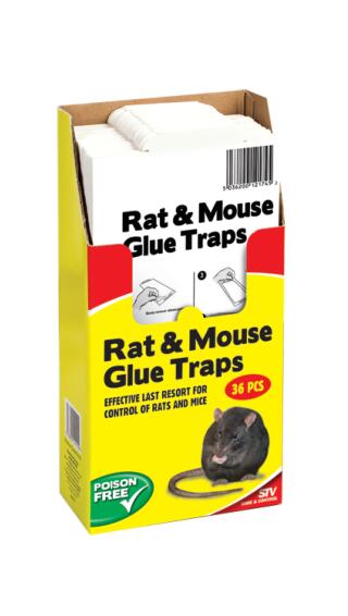 Big cheese rat glue trap
