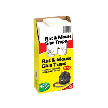 Big cheese rat glue trap