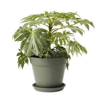 GEOLIA ROUND PLASTIC POT DIAM 40 CM