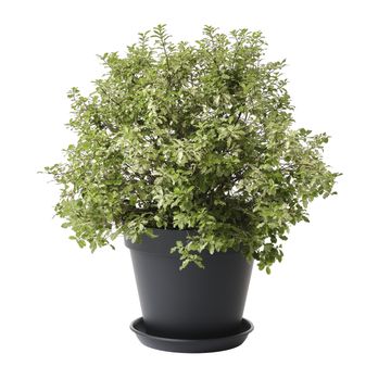 GEOLIA ROUND PLASTIC SAUCER 35CM PARIS0