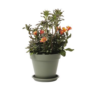 GEOLIA ROUND PLASTIC POT DIAM 30 CM