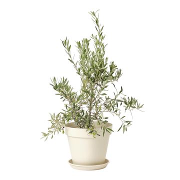 Geolia round plastic pot diam 40cm