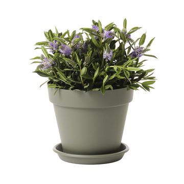 Geolia round plastic pot diam 25cm