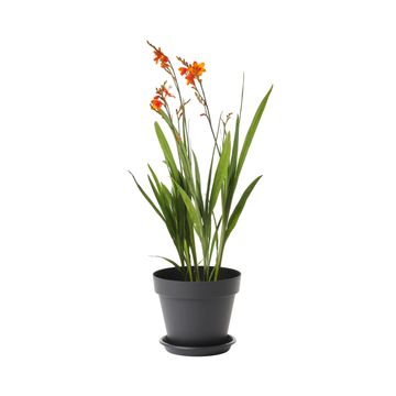 GEOLIA ROUND PLASTIC POT DIAM 25 CM