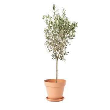 GEOLIA ROUND PLASTIC SAUCER 26CM COTTA