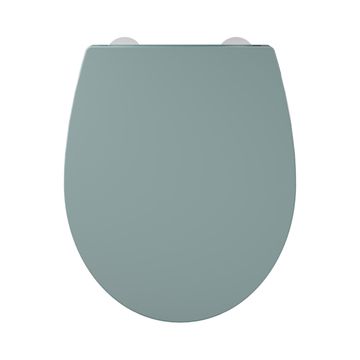 Sensea Remix Oval Toilet Seat With Soft Closing Hinge Blue-Green