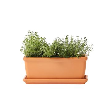 GEOLIA TERRACOTTA SAUCER BALCONY 42CM