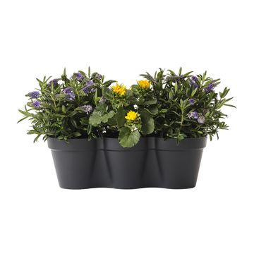 Geolia hanging balcony planter pariso