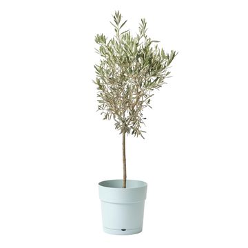 GEOLIA PLASTIC POT W/SAUCER 30CM CELADON