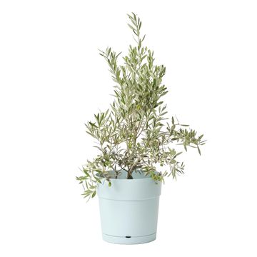 Geolia round plastic pot w/saucer 40cm
