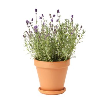 Geolia round terracotta pot gobi 25cm
