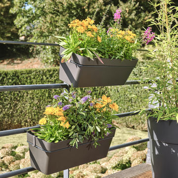 GEOLIA PLANT W/METAL SUPPORT 50CM PARIS