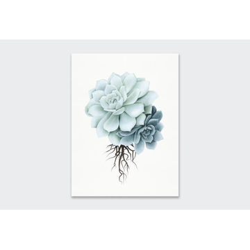 WALL ART PRINT SKETCH ROCK ROSE 23X30CM