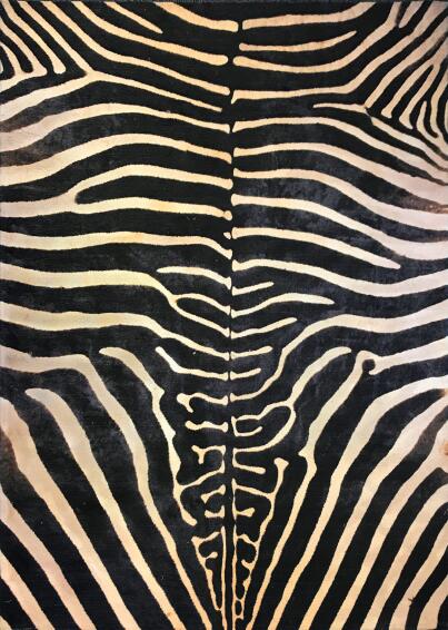 RUG POLYESTER WILDE ZEBRA 160X230