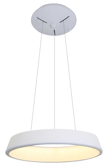 pendant light cool white  led ring white