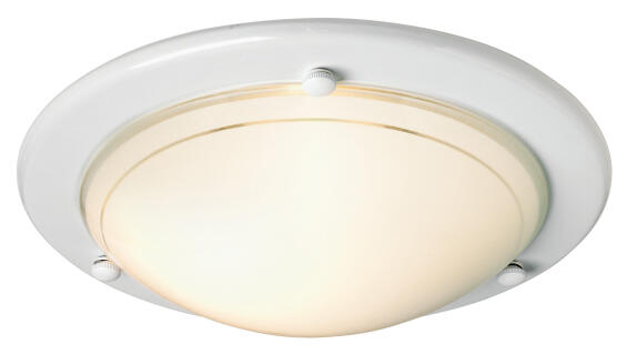 ceiling light gym  satin chrome