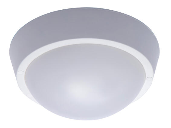 Eurolux LED Outdoor Bulkhead Wall Light 25W Black