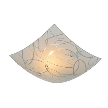 ceiling light 2 light frosted