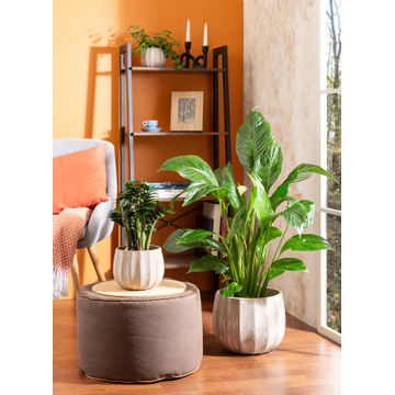 Ceramic washed cream pot 17cm