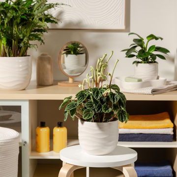 Ceramic bone white pot 18cm