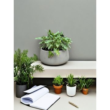 ROSA MEDIUM SMOKEY GREY